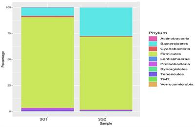 Investigating the modulatory effects of Moringa oleifera on the gut microbiota of chicken model through metagenomic approach